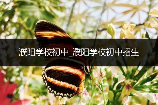 濮阳学校初中_濮阳学校初中招生