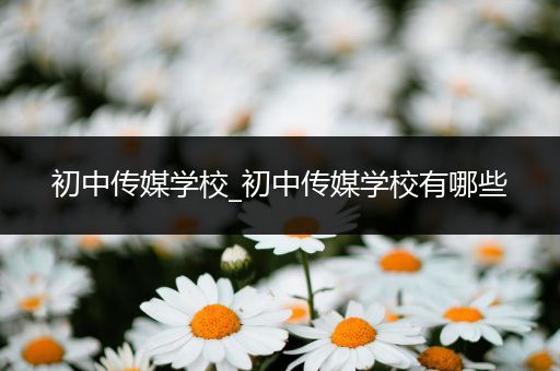 初中传媒学校_初中传媒学校有哪些