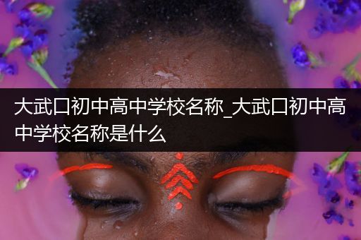 大武口初中高中学校名称_大武口初中高中学校名称是什么