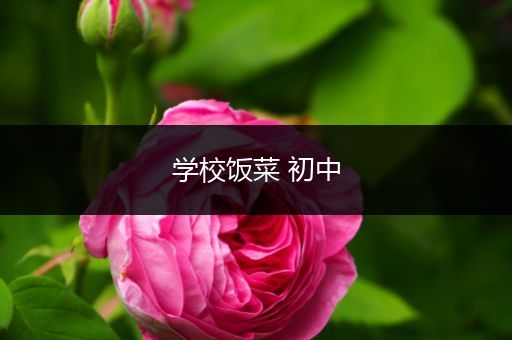 学校饭菜 初中
