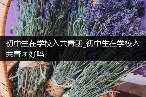 初中生在学校入共青团_初中生在学校入共青团好吗