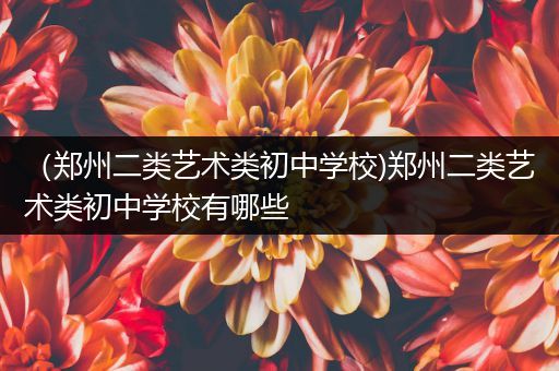 （郑州二类艺术类初中学校)郑州二类艺术类初中学校有哪些