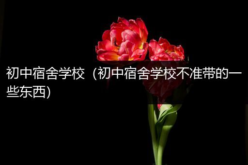 初中宿舍学校（初中宿舍学校不准带的一些东西）