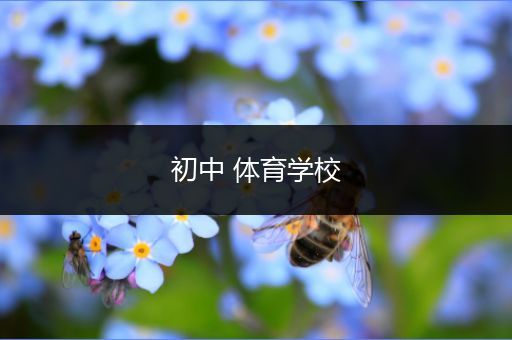初中 体育学校