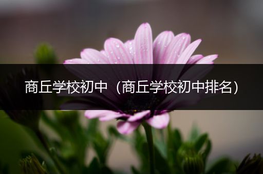 商丘学校初中（商丘学校初中排名）