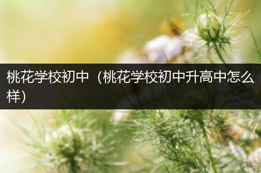桃花学校初中（桃花学校初中升高中怎么样）
