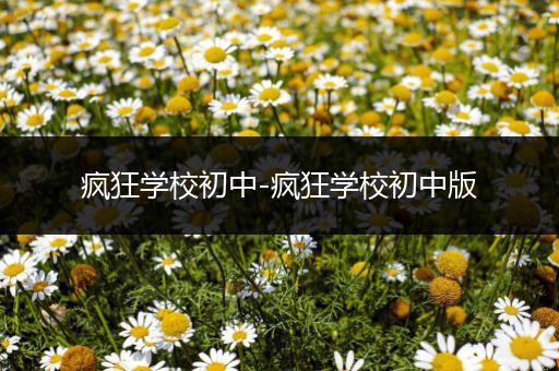 疯狂学校初中-疯狂学校初中版