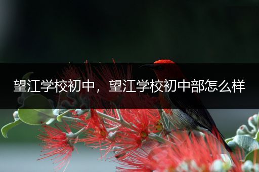 望江学校初中，望江学校初中部怎么样