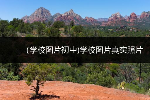 （学校图片初中)学校图片真实照片