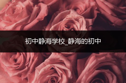 初中静海学校_静海的初中