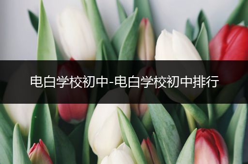 电白学校初中-电白学校初中排行