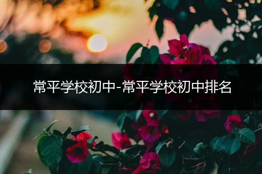 常平学校初中-常平学校初中排名