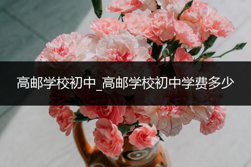 高邮学校初中_高邮学校初中学费多少