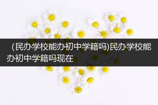 （民办学校能办初中学籍吗)民办学校能办初中学籍吗现在