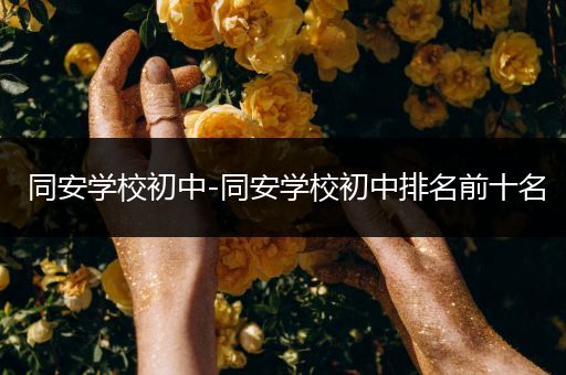 同安学校初中-同安学校初中排名前十名
