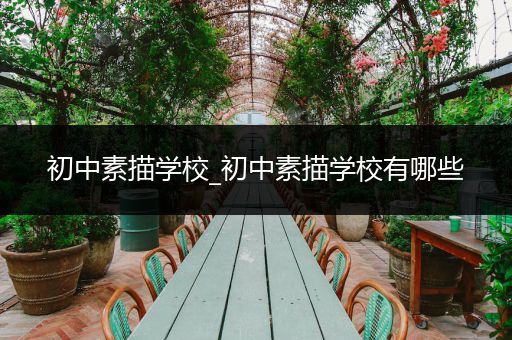 初中素描学校_初中素描学校有哪些