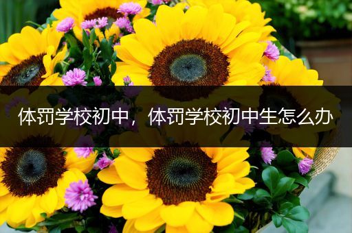 体罚学校初中，体罚学校初中生怎么办