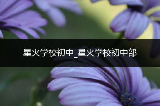 星火学校初中_星火学校初中部