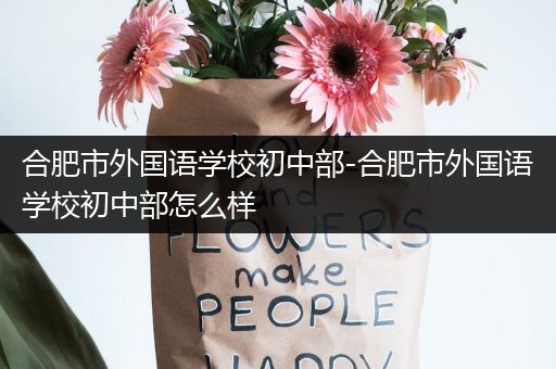 合肥市外国语学校初中部-合肥市外国语学校初中部怎么样