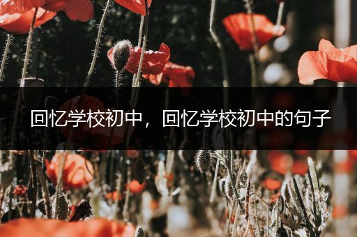 回忆学校初中，回忆学校初中的句子