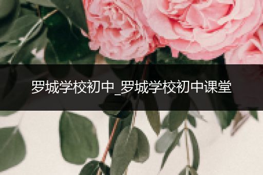 罗城学校初中_罗城学校初中课堂