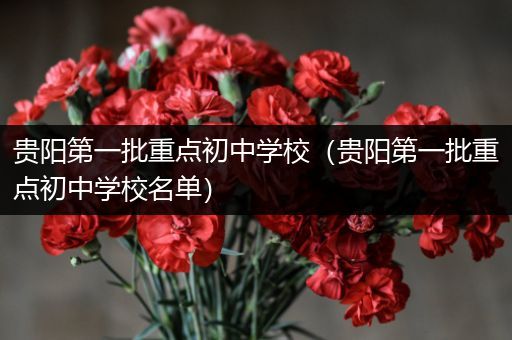 贵阳第一批重点初中学校（贵阳第一批重点初中学校名单）