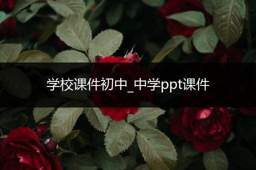 学校课件初中_中学ppt课件