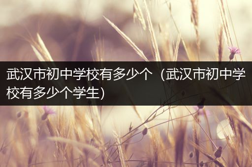 武汉市初中学校有多少个（武汉市初中学校有多少个学生）