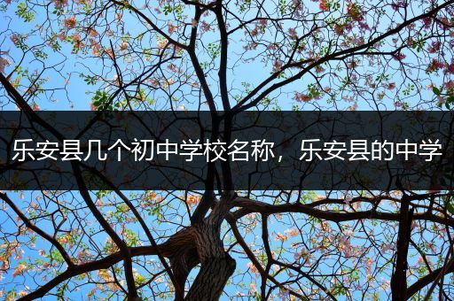 乐安县几个初中学校名称，乐安县的中学