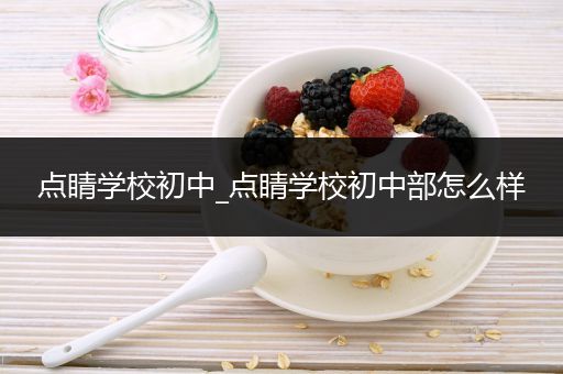 点睛学校初中_点睛学校初中部怎么样