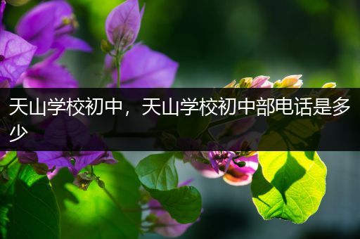 天山学校初中，天山学校初中部电话是多少