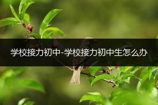 学校接力初中-学校接力初中生怎么办