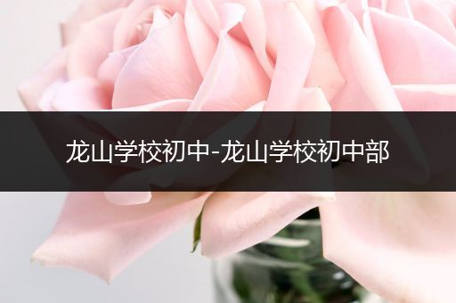 龙山学校初中-龙山学校初中部