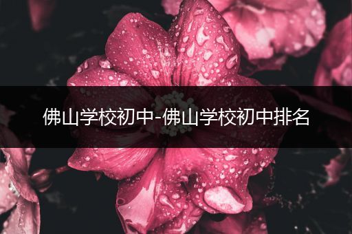 佛山学校初中-佛山学校初中排名
