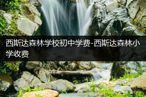 西斯达森林学校初中学费-西斯达森林小学收费