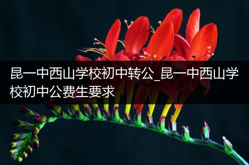 昆一中西山学校初中转公_昆一中西山学校初中公费生要求