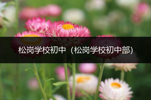 松岗学校初中（松岗学校初中部）
