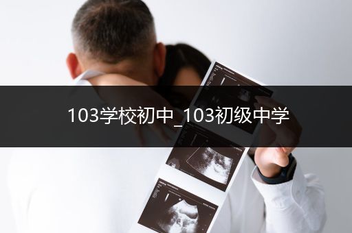 103学校初中_103初级中学