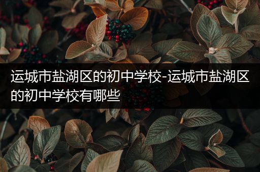 运城市盐湖区的初中学校-运城市盐湖区的初中学校有哪些