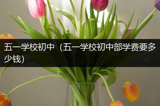 五一学校初中（五一学校初中部学费要多少钱）