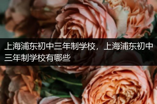 上海浦东初中三年制学校，上海浦东初中三年制学校有哪些