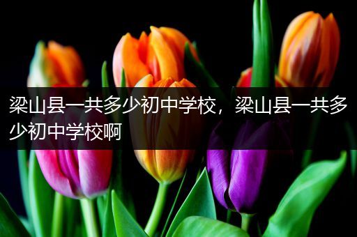 梁山县一共多少初中学校，梁山县一共多少初中学校啊