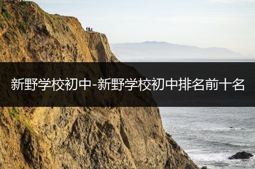 新野学校初中-新野学校初中排名前十名