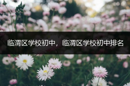 临渭区学校初中，临渭区学校初中排名