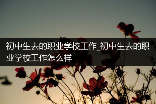 初中生去的职业学校工作_初中生去的职业学校工作怎么样