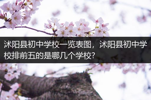 沭阳县初中学校一览表图，沭阳县初中学校排前五的是哪几个学校?