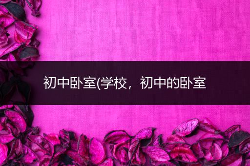初中卧室(学校，初中的卧室