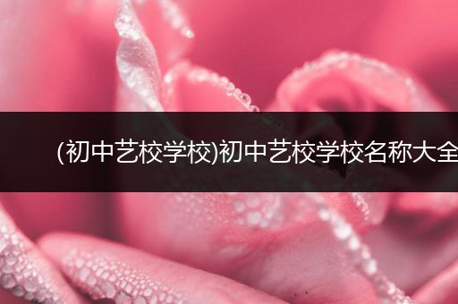 （初中艺校学校)初中艺校学校名称大全