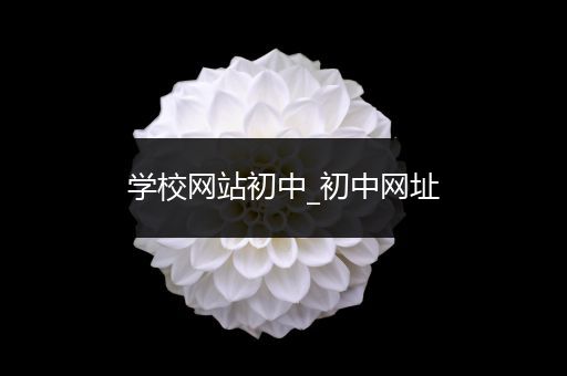 学校网站初中_初中网址