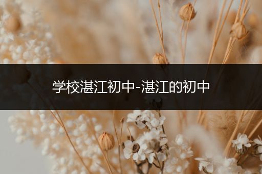 学校湛江初中-湛江的初中